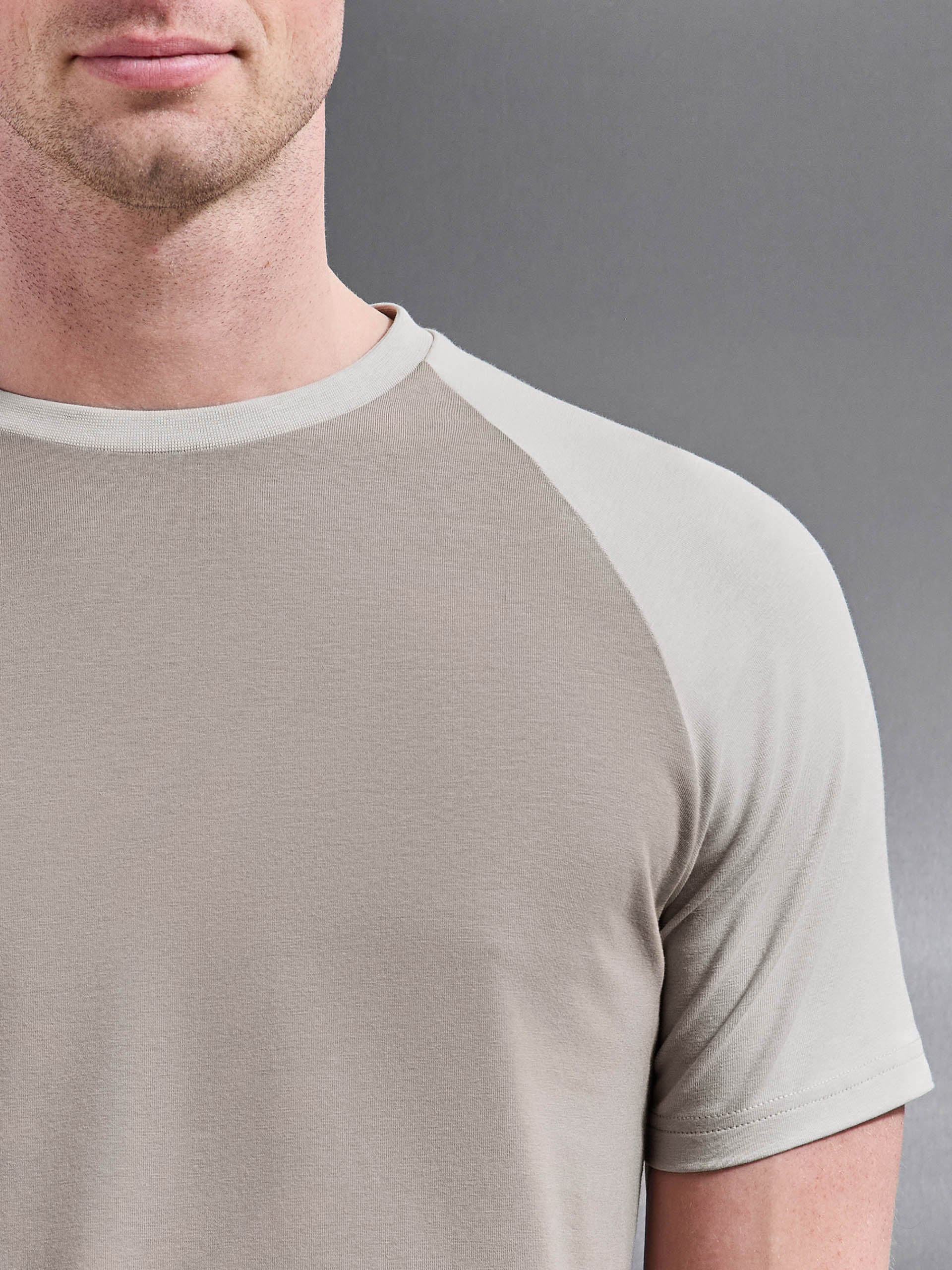 Raglan Slim Fit Stretch Cotton T-Shirt in Taupe Stone - Image 3